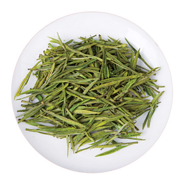 安吉白茶(玉凤茶)
