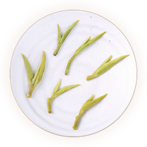 碧螺春（功夫茶、新血茶）叶底