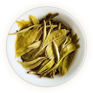 布朗山普洱茶叶底