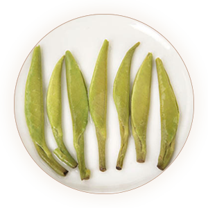 汉中仙毫（定军茗眉、午子仙茗）叶底