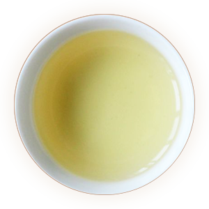 金银花茶汤色
