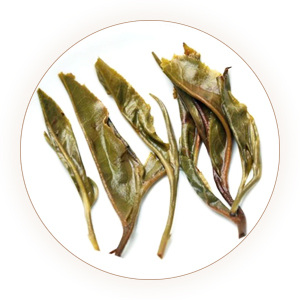 老曼峨普洱茶叶底
