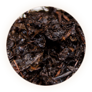 老青茶（青砖茶、川字茶）叶底