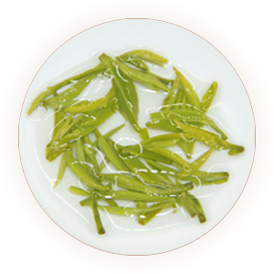 蒙顶甘露（蒙顶茶）叶底