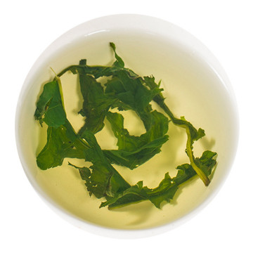 蒲公英茶叶底