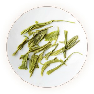 天山绿茶叶底