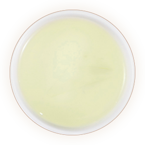 文君绿茶汤色