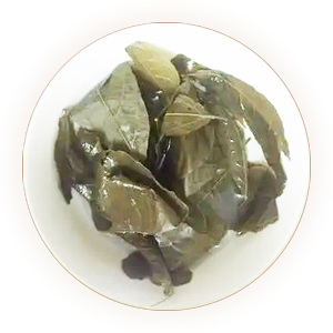 鹧鸪茶（山苦茶、毛茶、禾茶）叶底