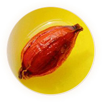 栀子茶叶底